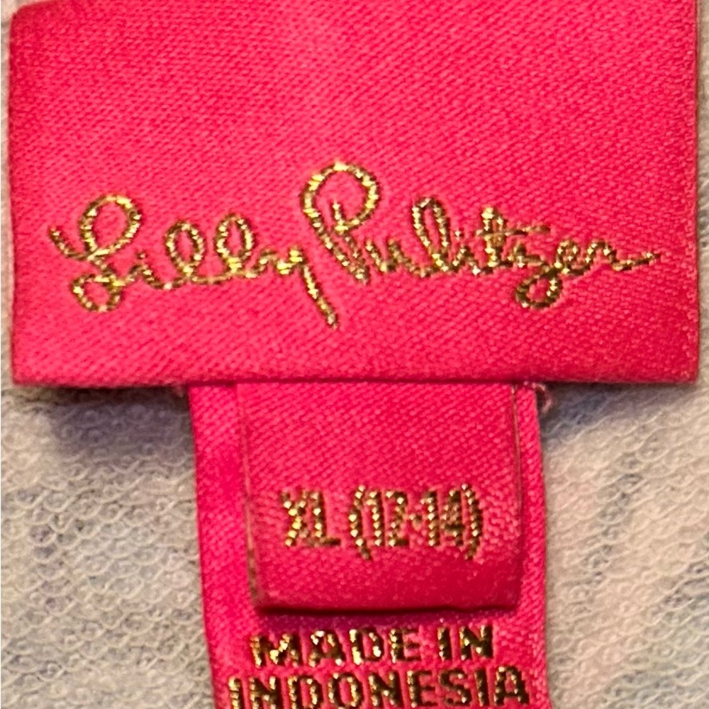 Lily Pulitzer blue/pink seashell dress sz XL 12-14 EUC smoke free home - Picture 3 of 5